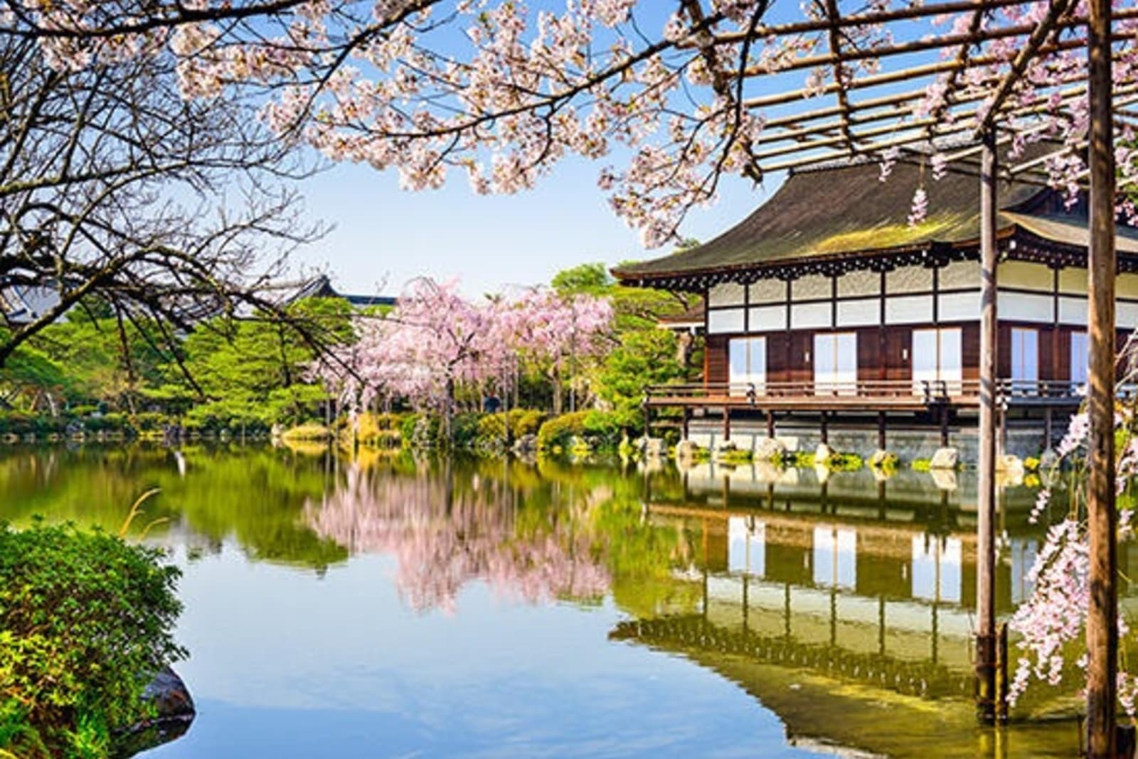 Overlooking a lake with traditional Japanese building and cherry blossoms.