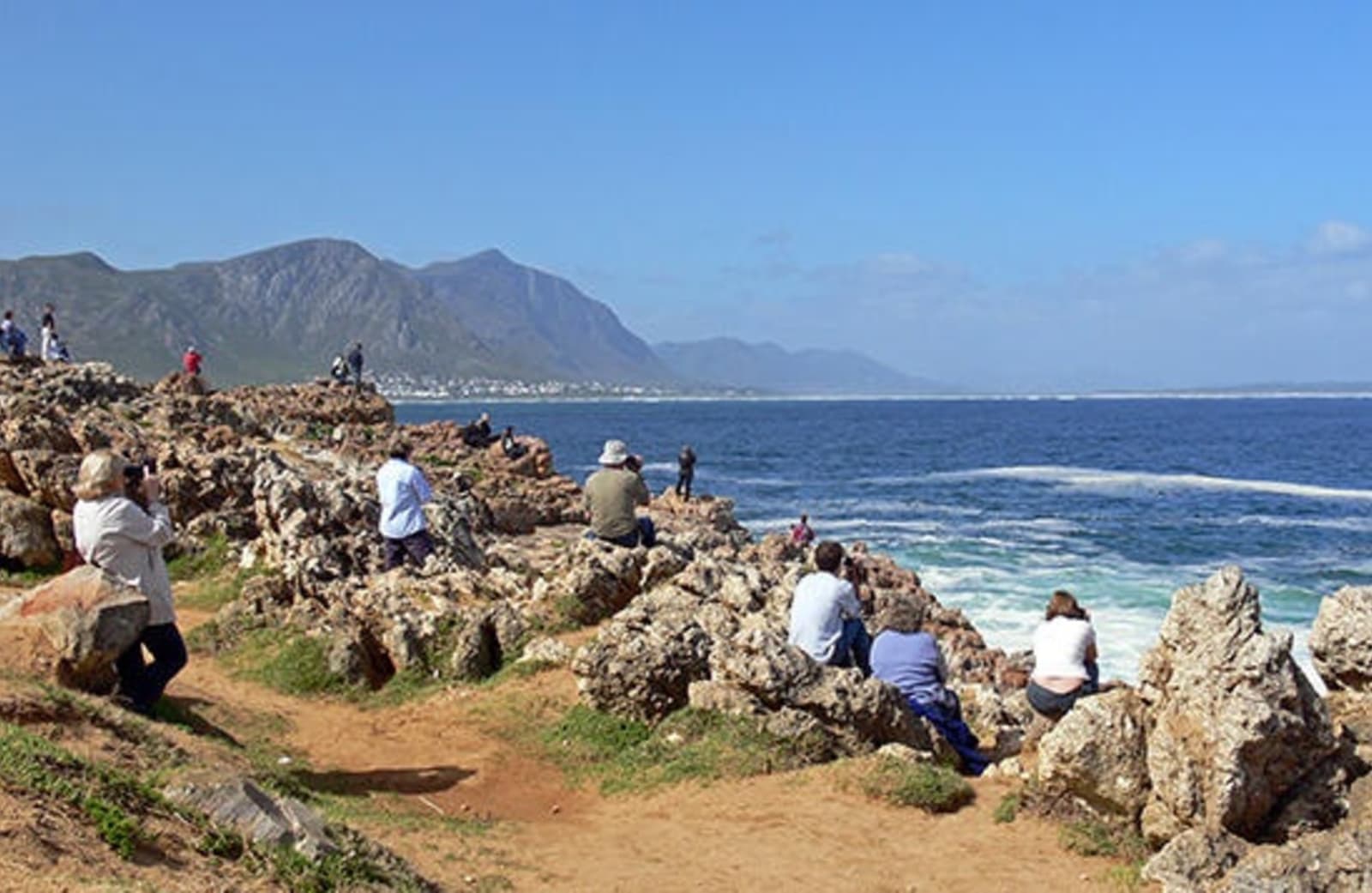 RS-Crowd-whale-watching-in-Hermanus-South-Africa-shutterstock_38660578.jpg