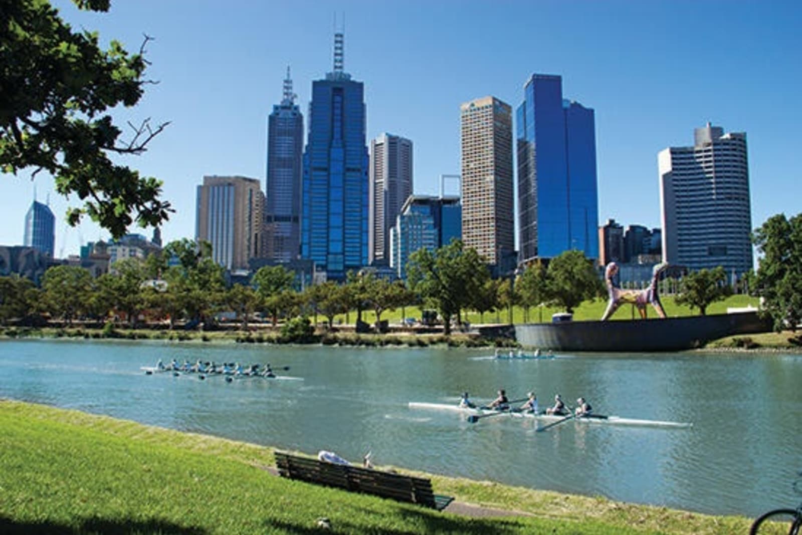 2 groups of people kayaking in Melbourne river with city in background.