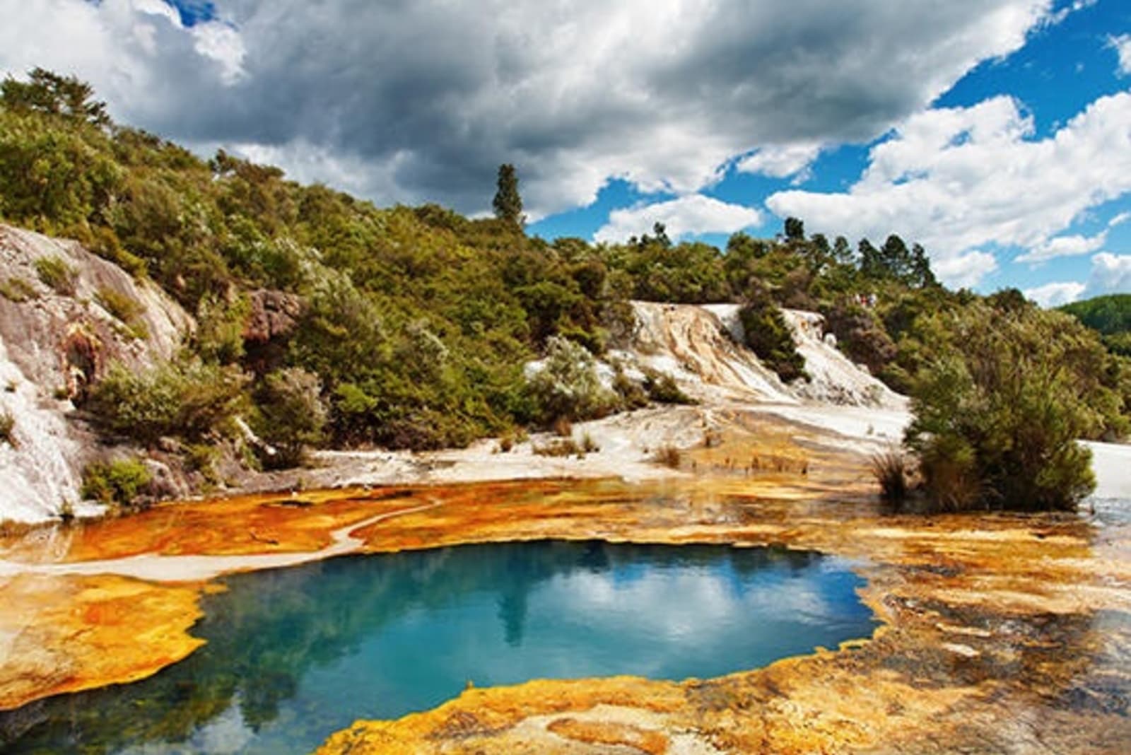 RS-New-Zealand-Rotorua-Thermal-Lakes.jpeg