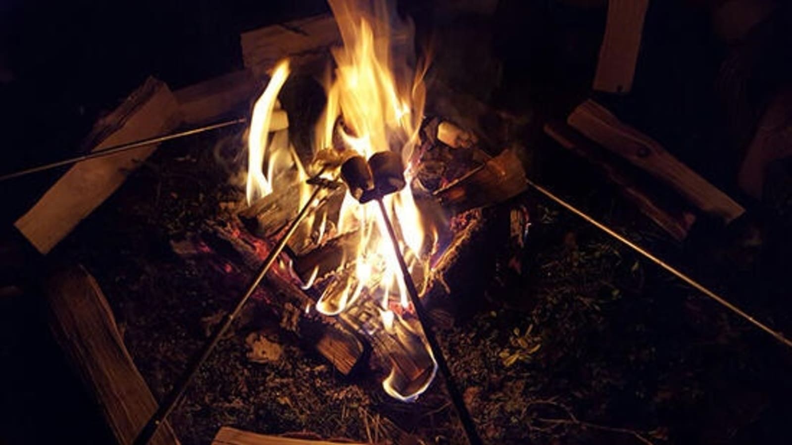 RS-Roasting-marshmallows-on-the-campfire.jpg