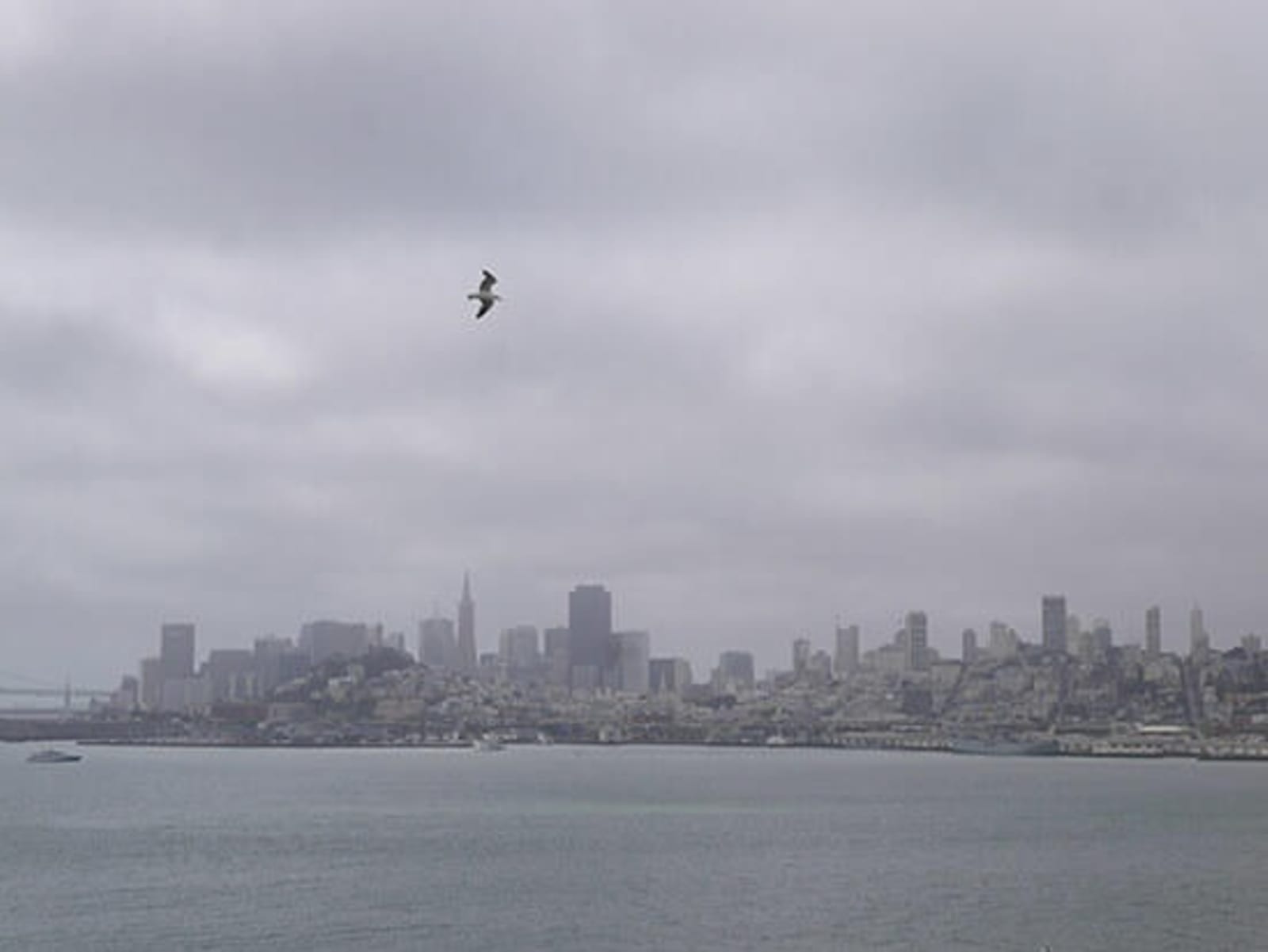 RS-The-SF-skyline-from-Alcatraz.jpg