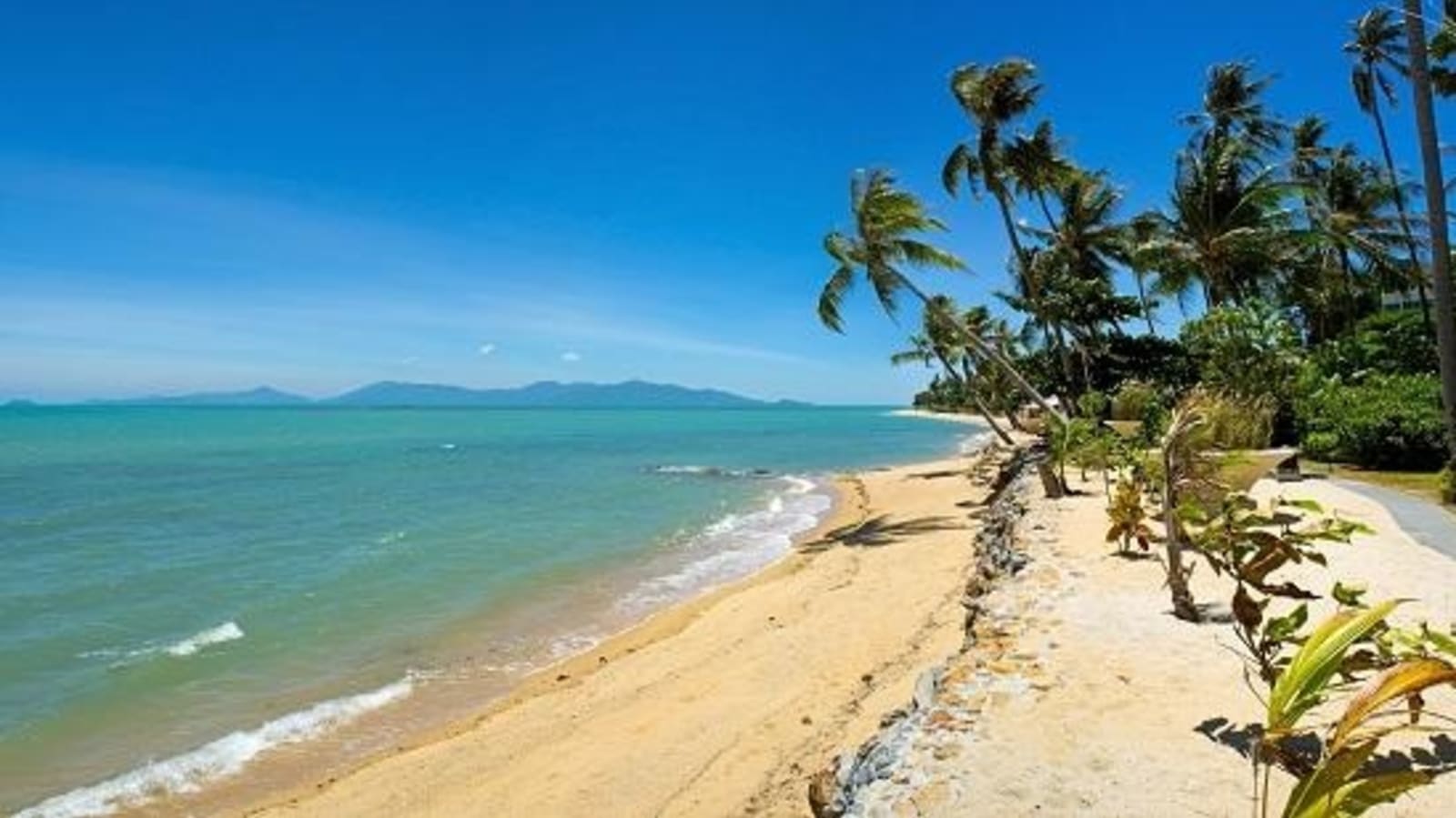 Tropical-beach-with-coconut-palm-Koh-Samui-Thailand_115729348.jpg