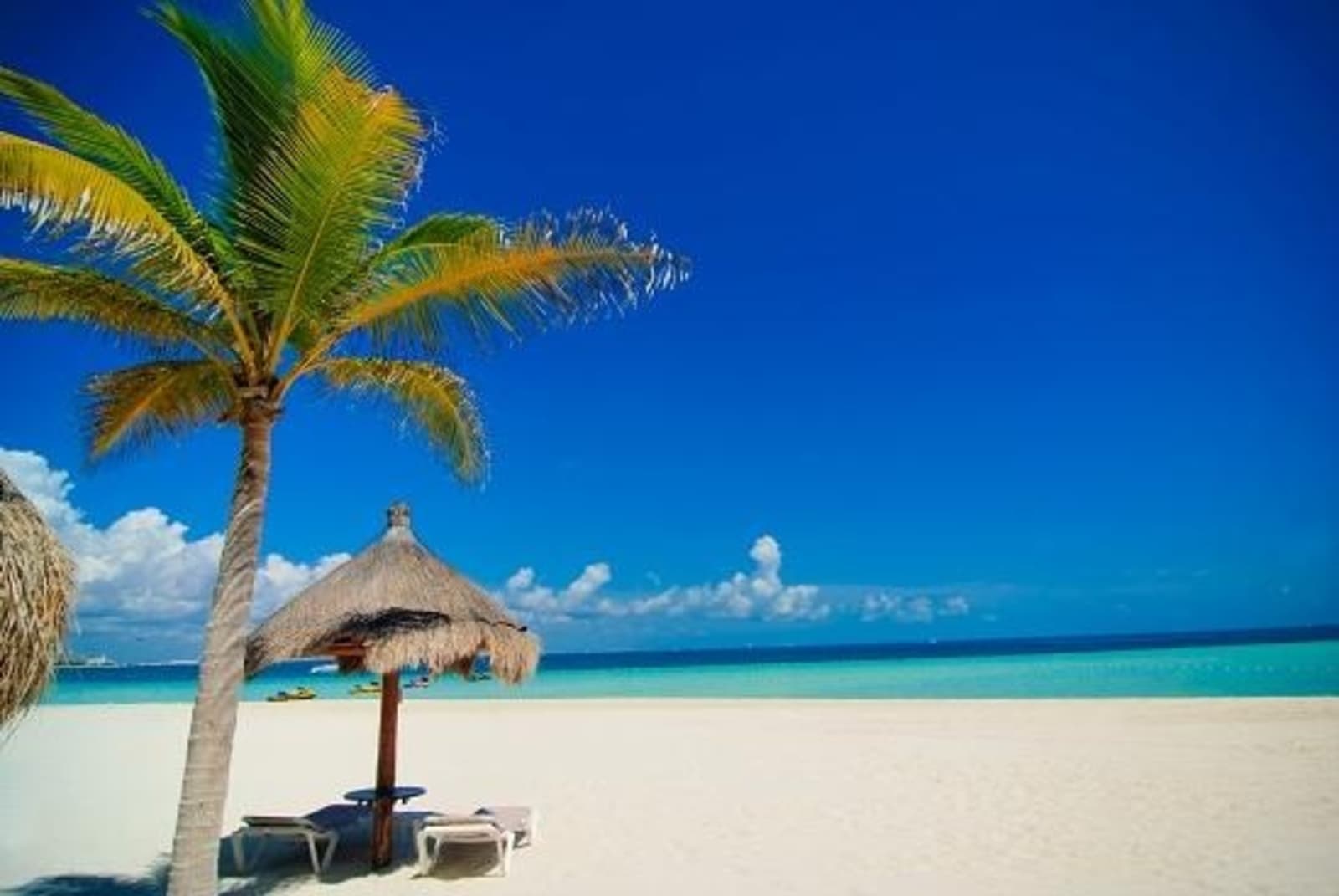 Beach umbrella and palm tree on a beach in Cancun.