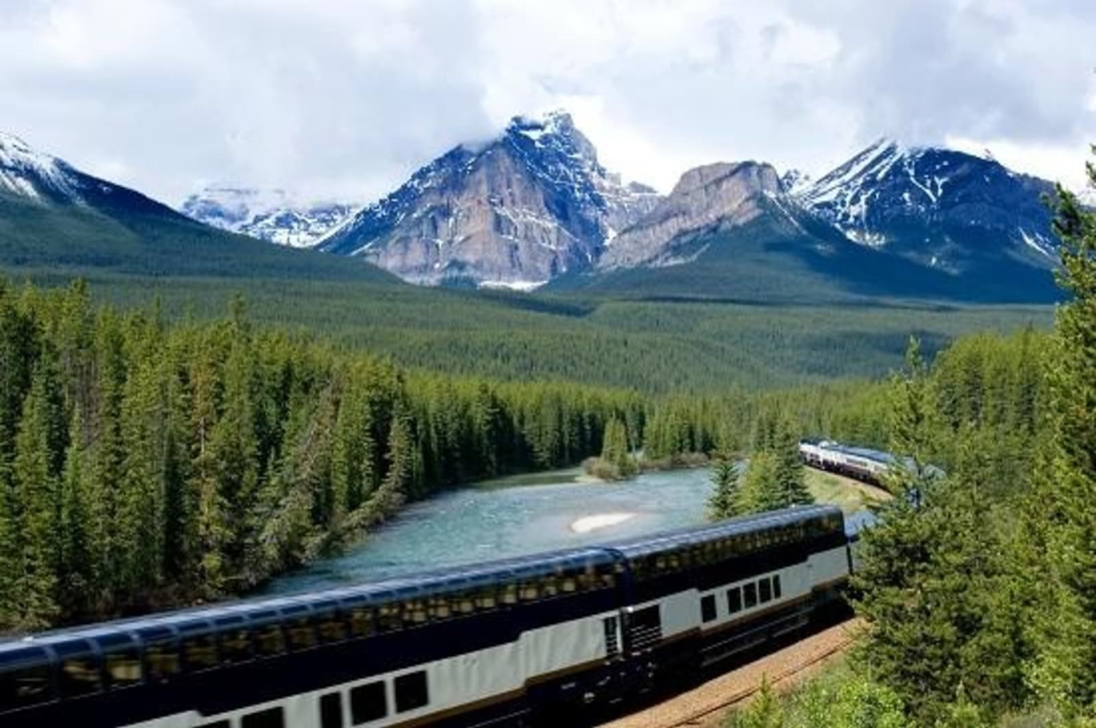 Train going through the trees in the Rocky Mountains.