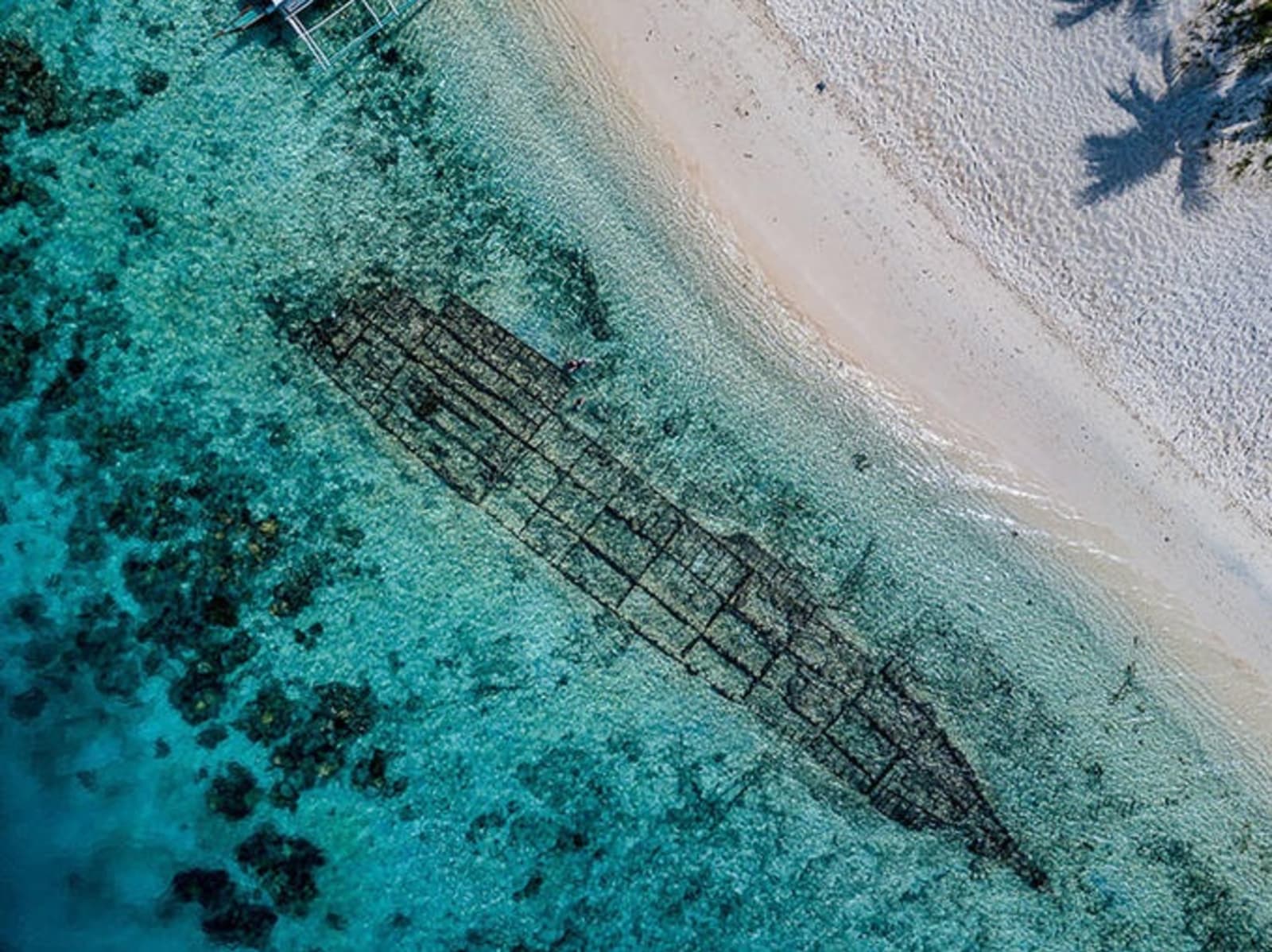black-island-shipwreck-philippines-richard-collett.jpeg