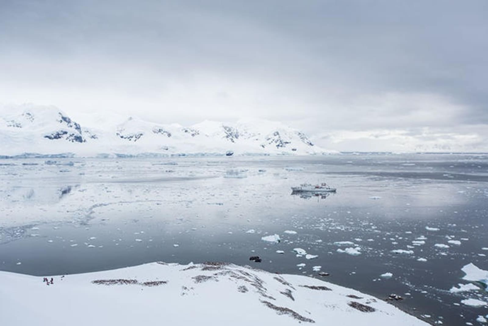 boat-on-calm-water-icebergs-antarctica.jpg