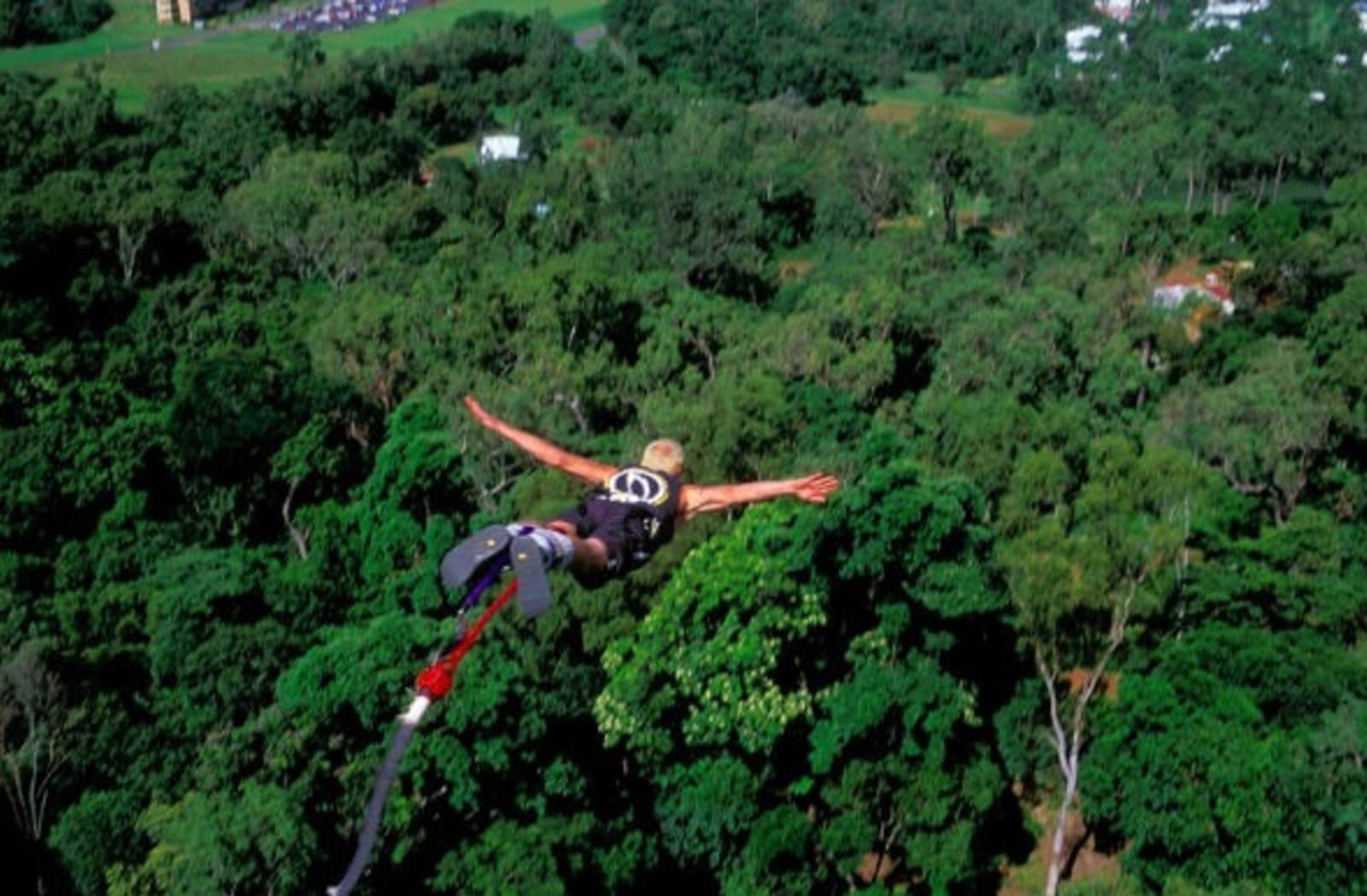 bungy_jump_forest.jpg