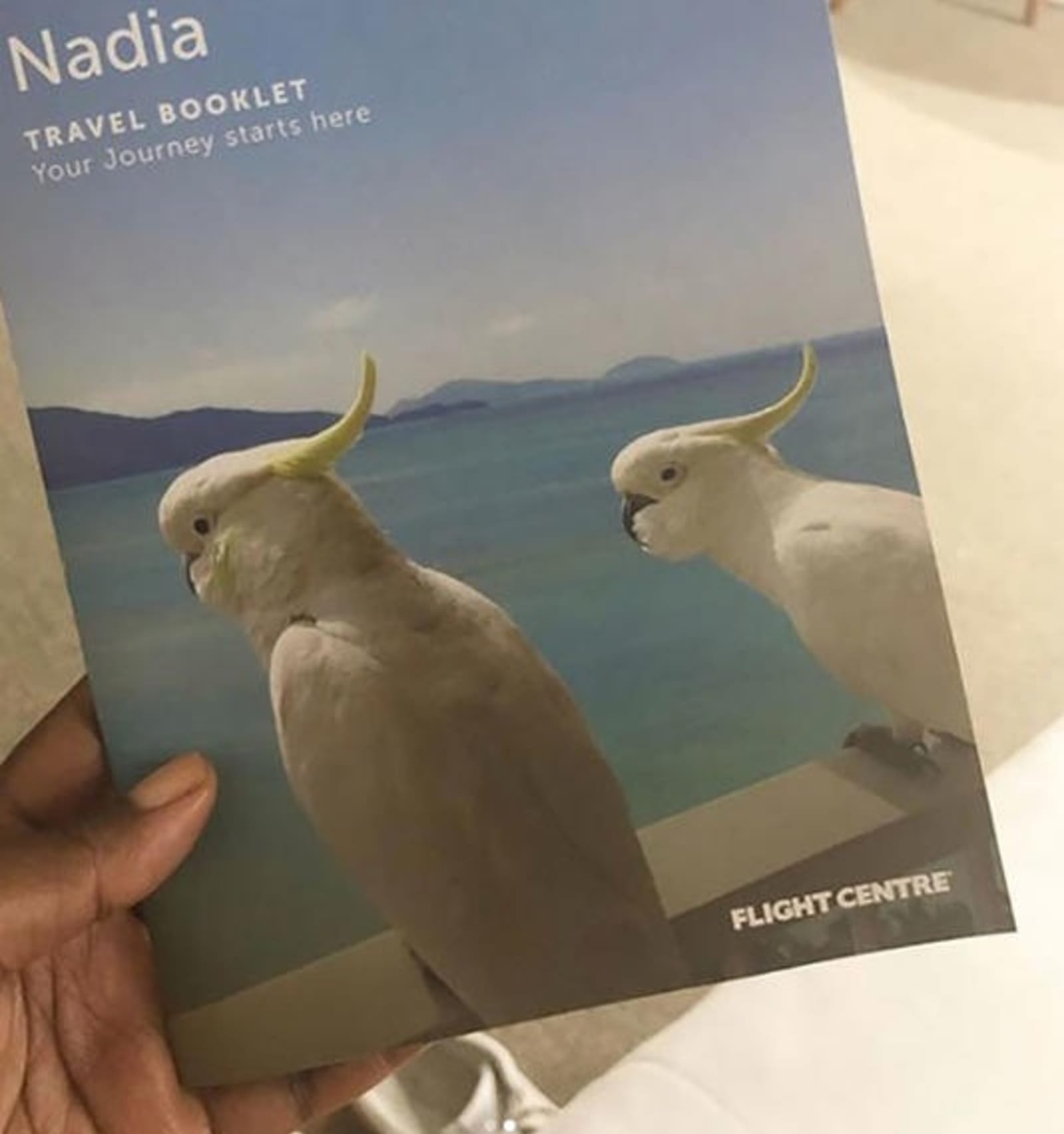 cockatoos-on-itinerary-brochure-nadia-williams.jpg