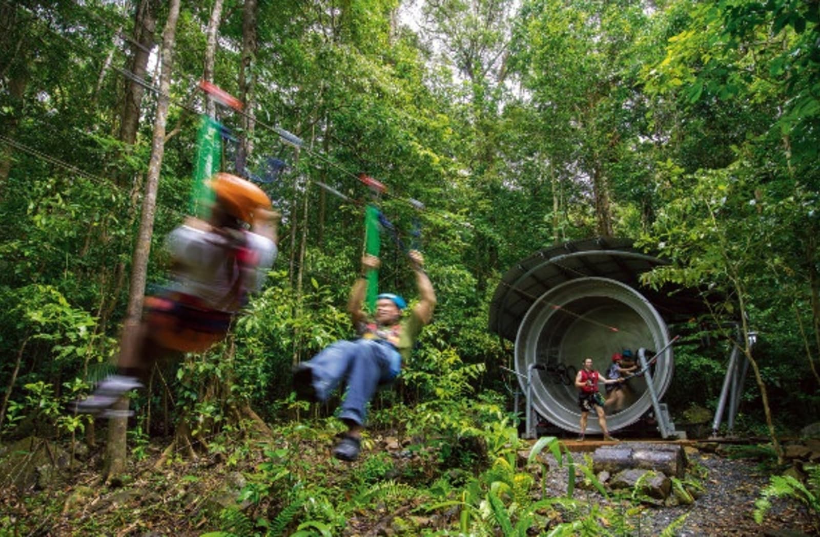 Kids playing at Daintree Forest