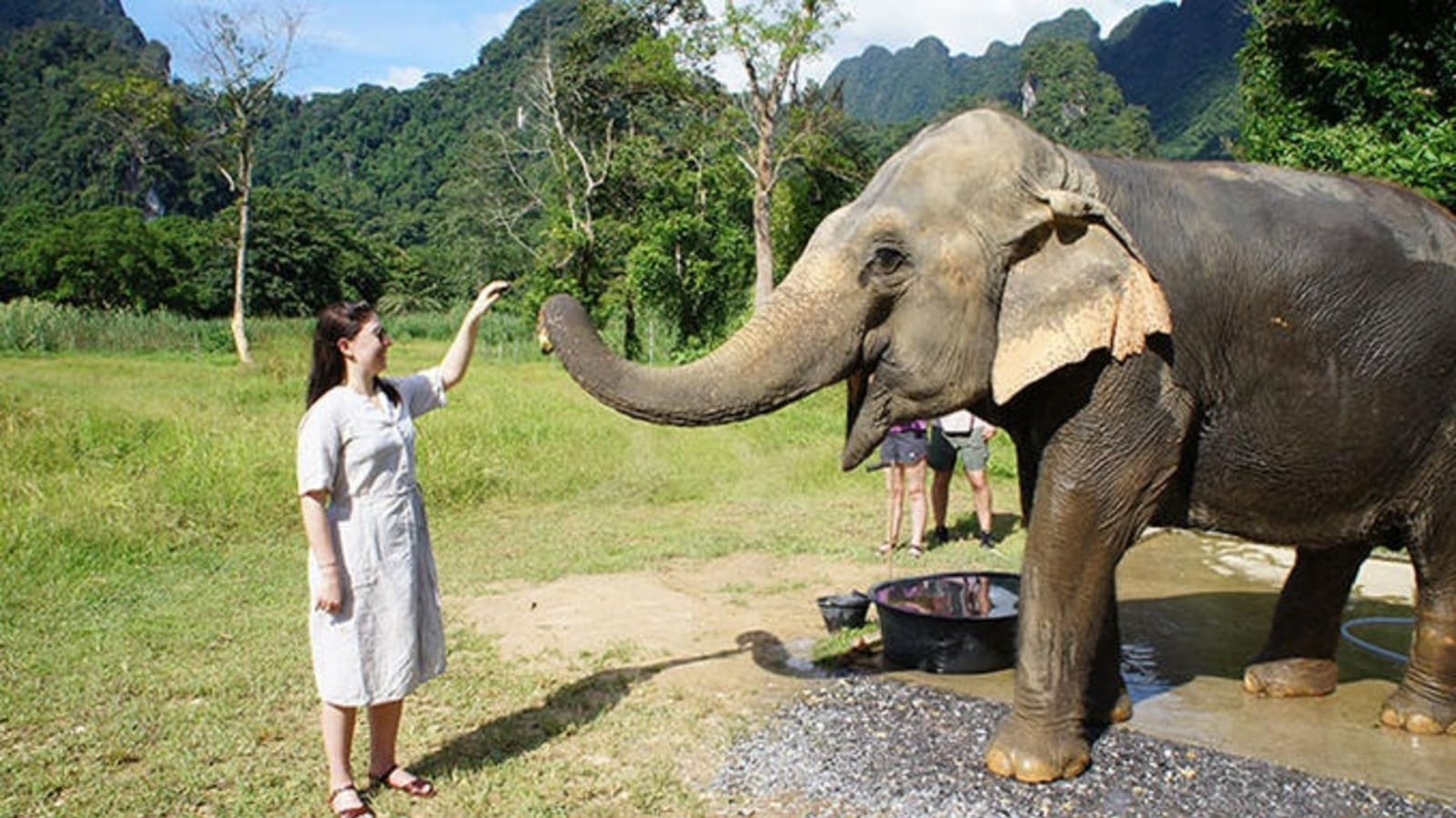 elephant-hills-feeding.jpg