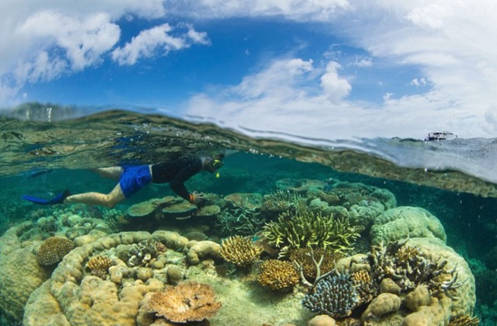 Great barrier reef