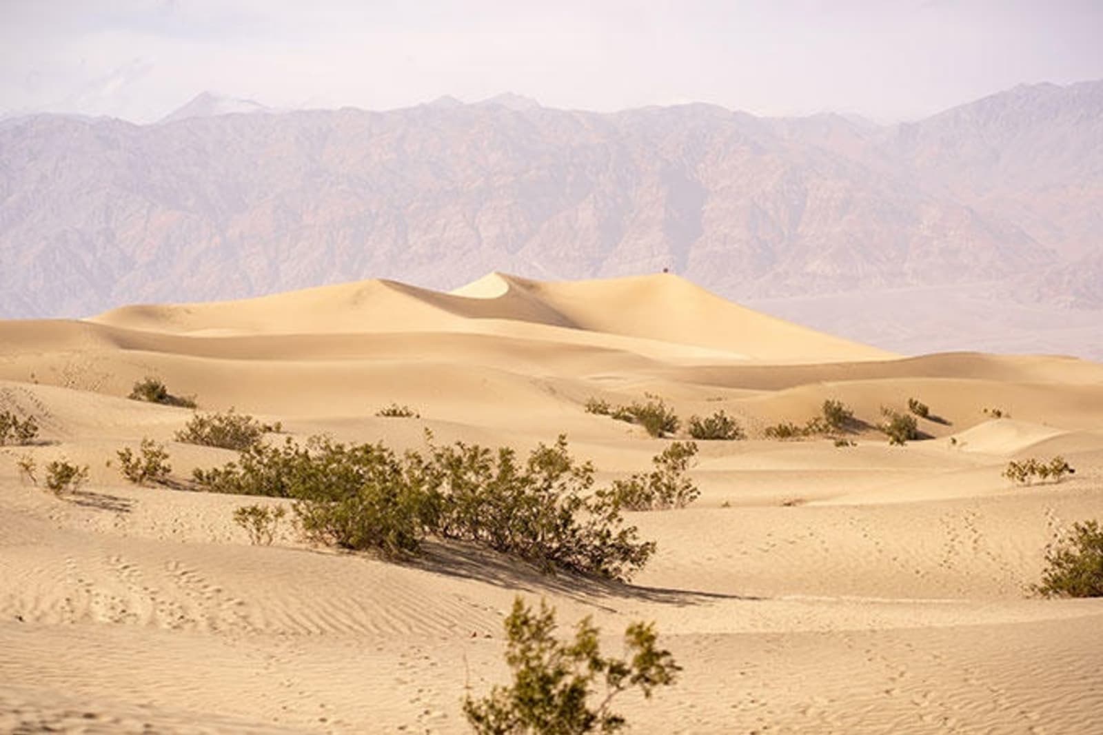 mesquite-flat-sand-dunes-california-ps.jpg