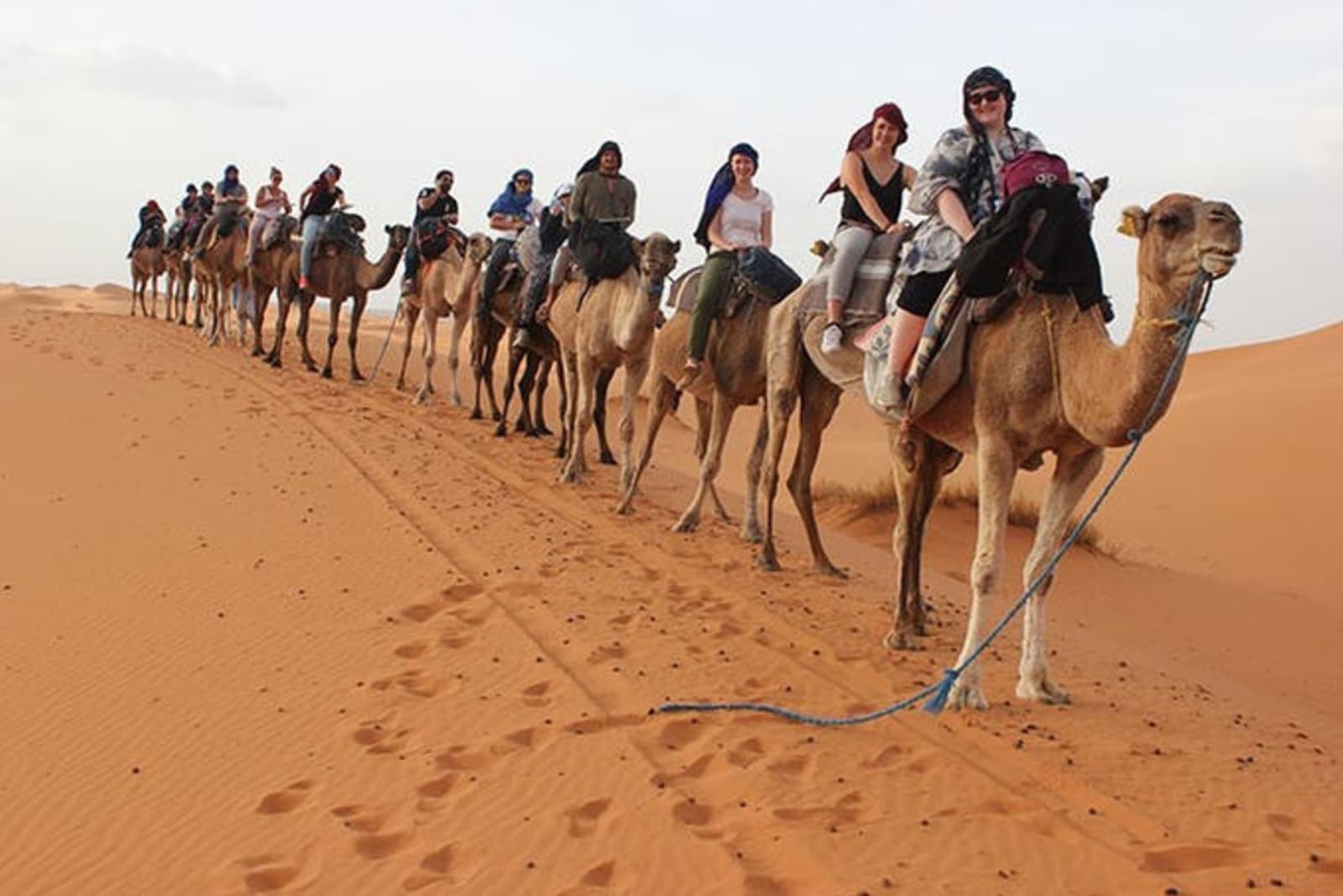 morocco-camels-desert-anna-prior.jpg