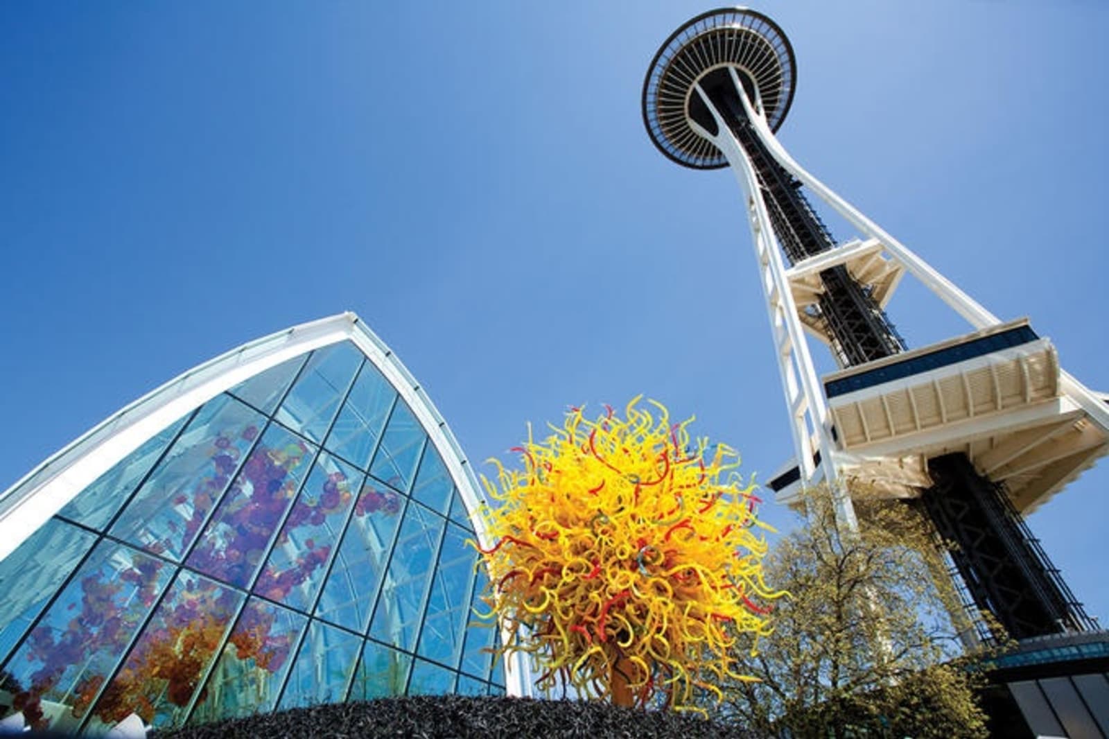 rs-1a.-space-needle-chihuly.jpg