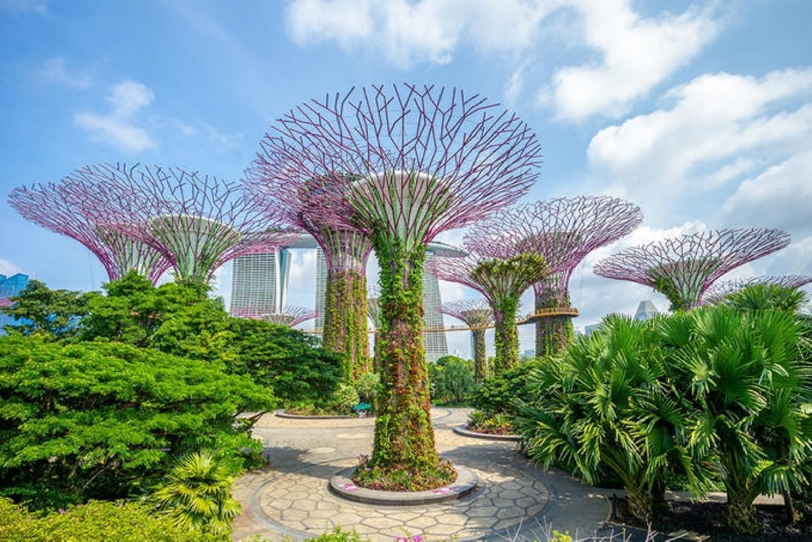 rs-6-gardens-by-the-bay-supertrees-singapore-shutterstock_1153910839.jpg