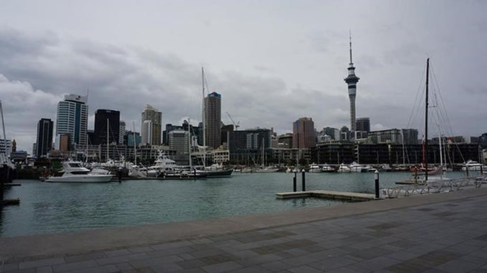 rs-auckland-waterfront1.jpg