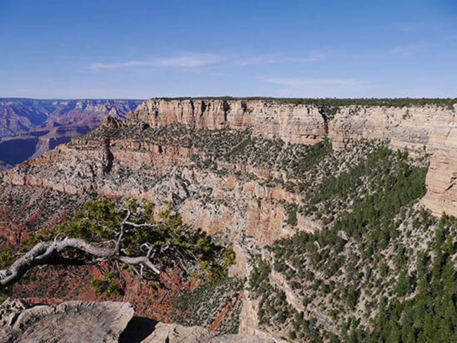 rs-grand-canyon-landscape-3.jpg