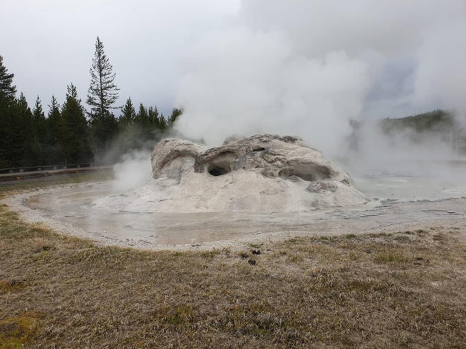 rs-yellowstone-national-park-alex-cronin-grotto-geyser.jpg