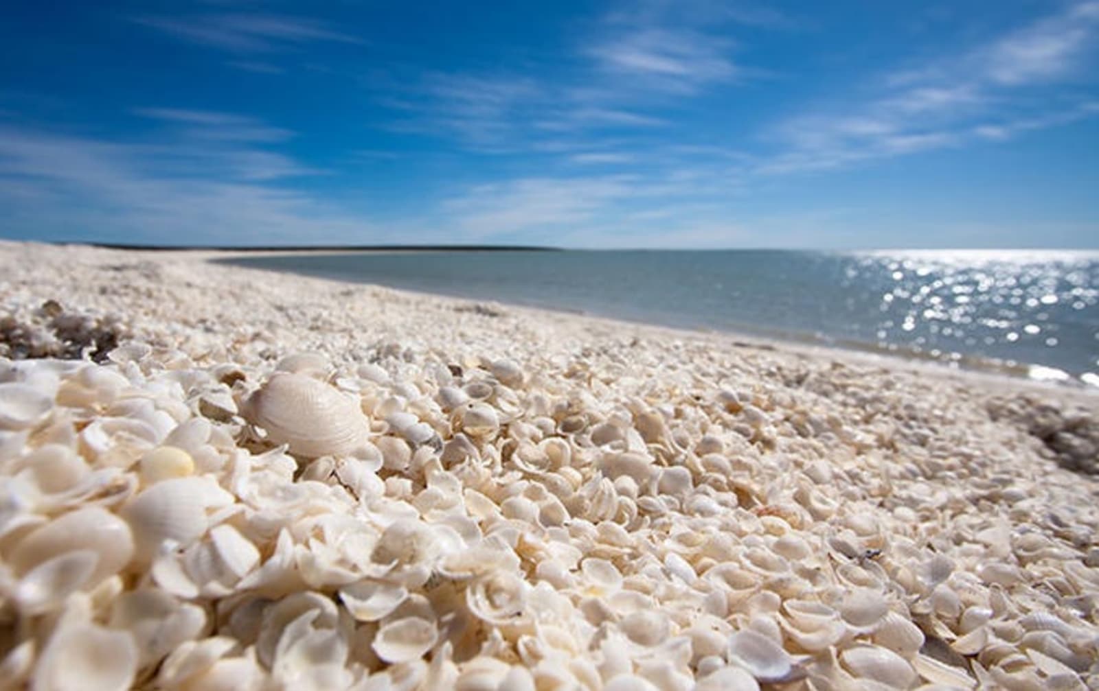 shell-beach-western-australia.jpg