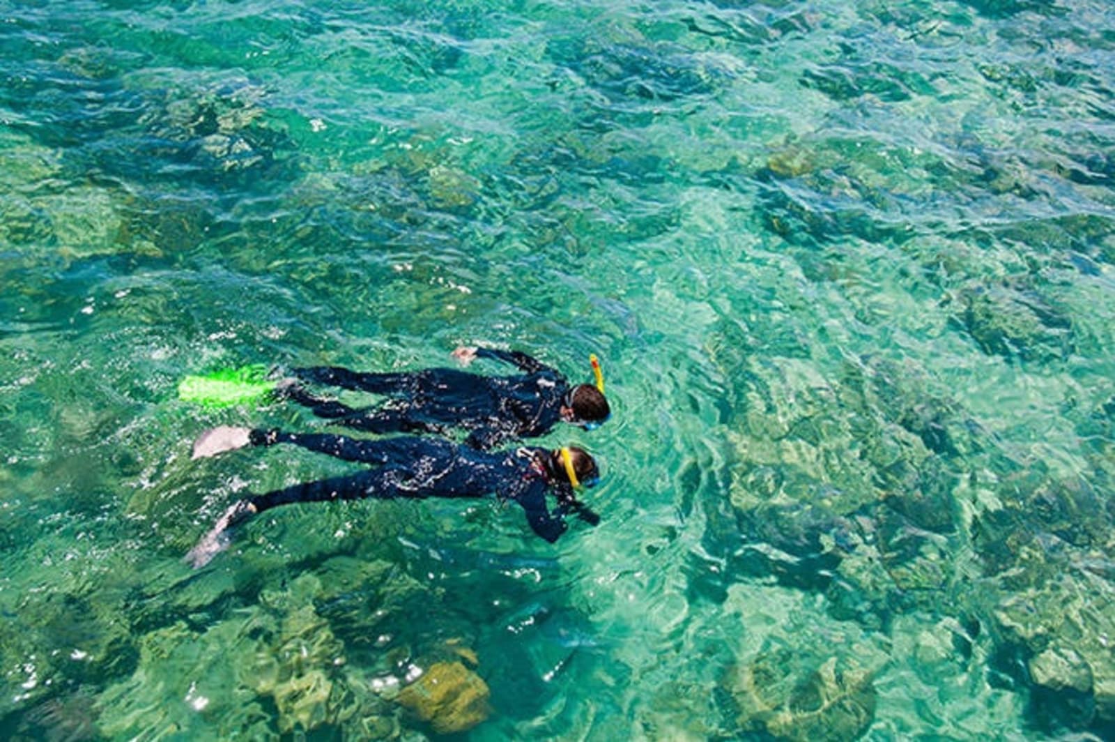 snorkelling-the-great-barrier-reef.jpg