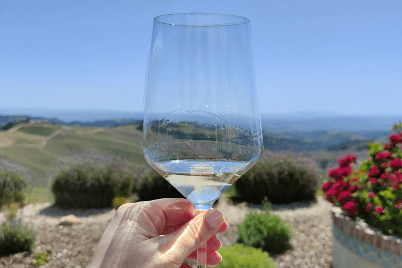 DAOU Vineyards & Winery Paso Robles, California USA