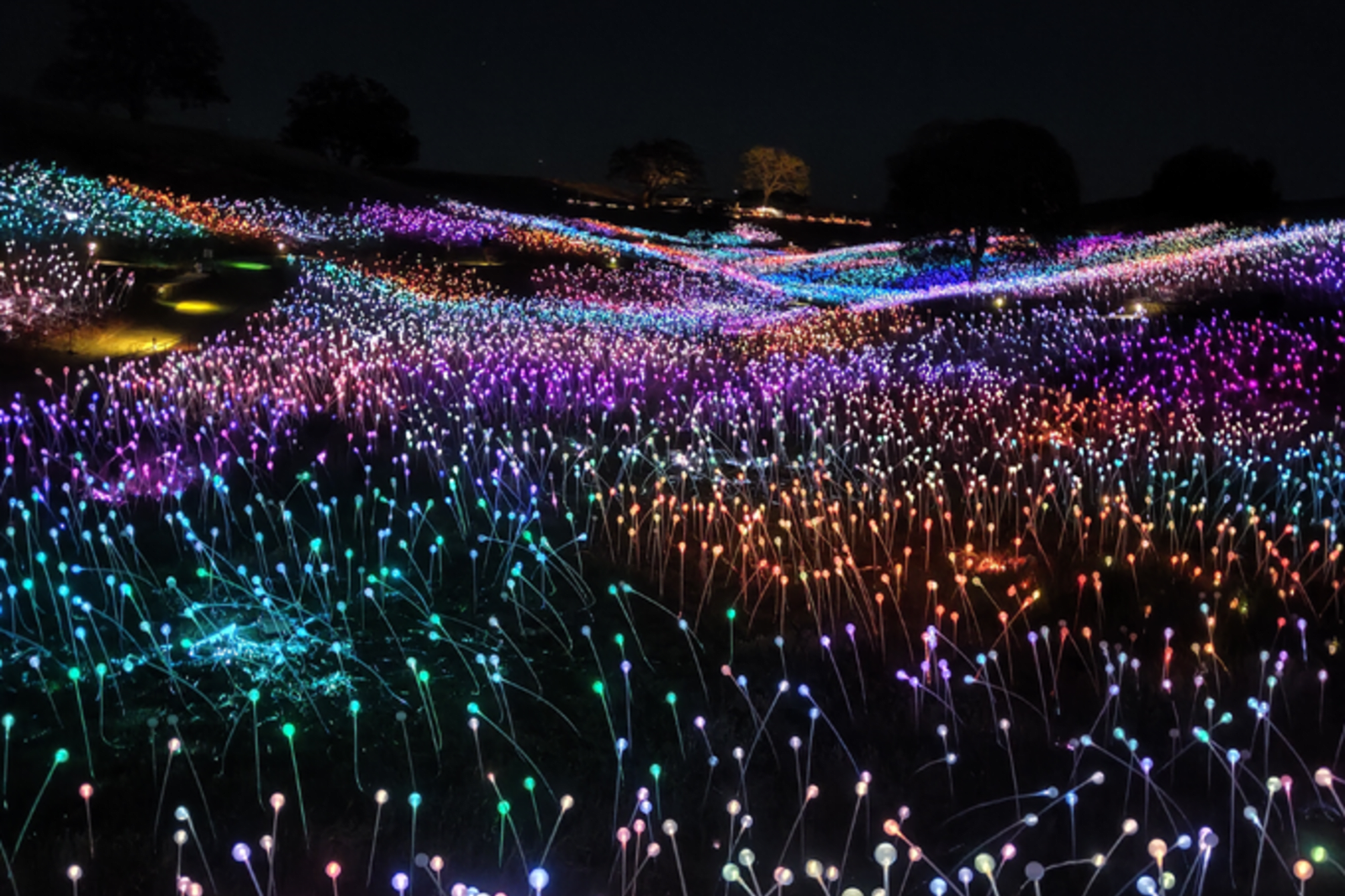 Field of Light at Sensorio, Paso Robles, California USA