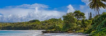 Panorama of a beach and trees on a New Caledonia island