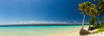 Panorama of a beach in Vanuatu, palm trees in right side of image