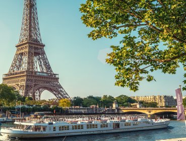 Eiffel tower in background and riverboat and tree in foreground