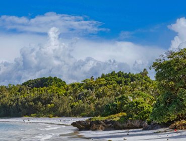 Panorama of a beach and trees on a New Caledonia island