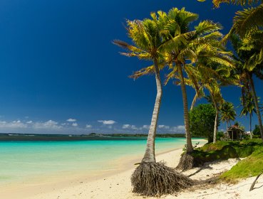 Panorama of a beach in Vanuatu, palm trees in right side of image