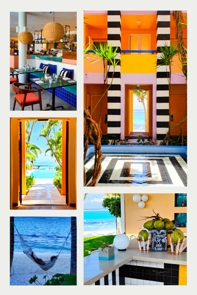 Collage of SALT of Palmar