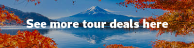 See more tour deals here