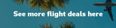 See more flight deals here