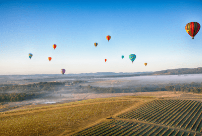 Colourful hot air balloons floating over the misty vineyard rows of Hunter Valley at sunrise