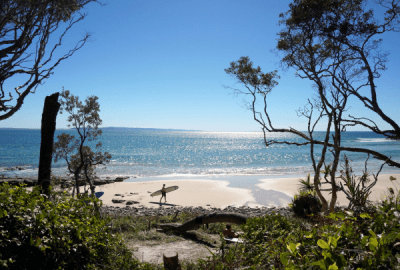 Surfer carrying a longboard along a white sand beach at Noosa Heads framed by coastal bushland with sparkling blue ocean stretching to the horizon