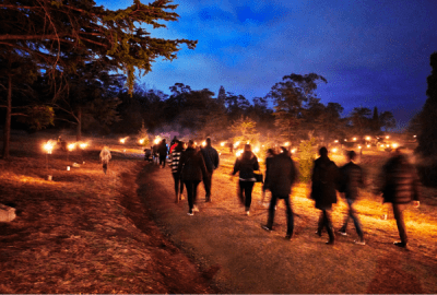 Groups of people walking a torch-lit path through a misty forest at dusk during the Dark Mofo festival in Hobart