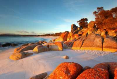 Red lichen on rocks at Bay of Fires with clean sandy beach and clear sea water in background