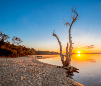 Sunrise light hits the trees and boats at the edge of the tranquil still waters of lake Cootharaba on the Noosa Everglades, Noosa Heads, Queensland