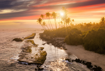 A red and golden sunset over coconut palms and lush forest in Sri Lanka