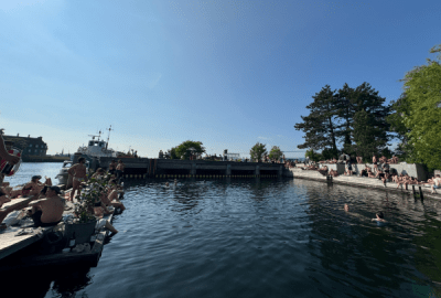 Swimming by the dock on a summer's day in Copenhagen
