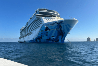 The hull of the NCL cruise ship Norwegian Bliss with art depicting marine life like humpback whales, sea turtles, seals, and dolphins