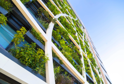 Detail from a living wall covered with variety of plants, flowers and grass, eco-friendly urban architecture