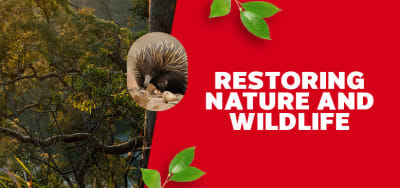 restoring nature and wildlife
