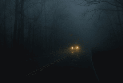 Car lights appear through the mist on a road through a bleak forest