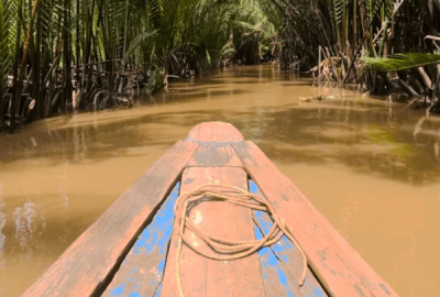 A view over the bow of a small wooden boat as it passes palm trees growing out of the waters of the Mekong River, Vietnam