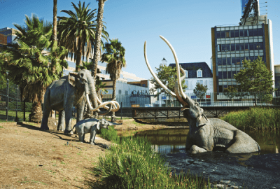 The LaBrea Tar Pits