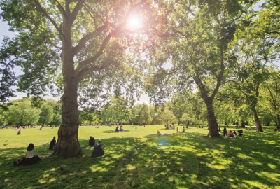 People sitting on the lawn in Green Park, London
