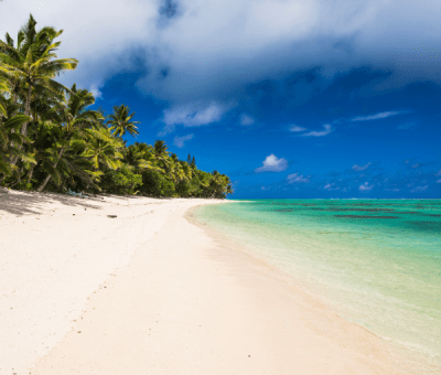 A white sandy beach flanked by azure waters on one side and coconut palms on the other